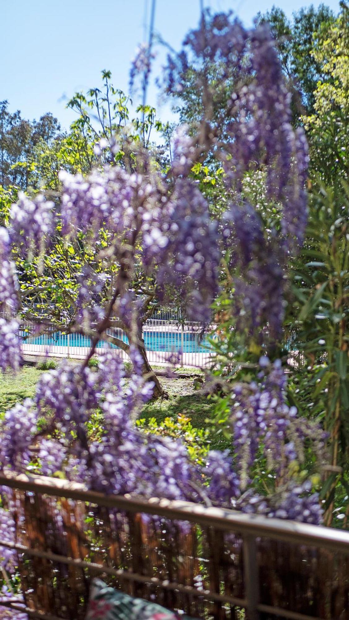 Appartamento Casa Laura -Parking - Pool Saint-Tropez Esterno foto